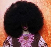 Image result for The Biggest Afro in the World