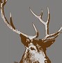 Image result for Deer Silhouette Vector