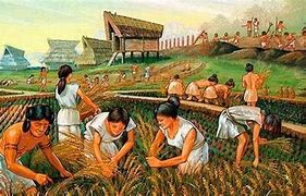 Image result for agriculturq