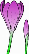 Image result for Plant Bud Cartoon