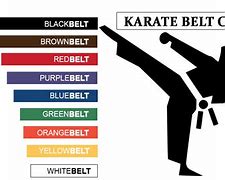 Image result for Karate Belts Scale