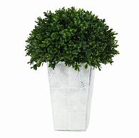 Image result for Home Depot Outdoor Artificial Plants