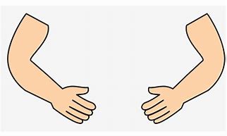 Image result for Clip Art Arm White