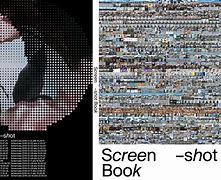 Image result for Screen Shot Book