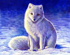 Image result for Arctic Fox Art