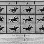Image result for What Are the Oldest Photographs Ever Taken