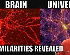 Image result for Big Brain Universe