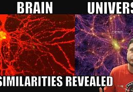 Image result for God Is the Brain of the Universe