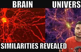 Image result for Universe Compared to Brain