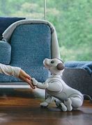 Image result for Aibo Paw