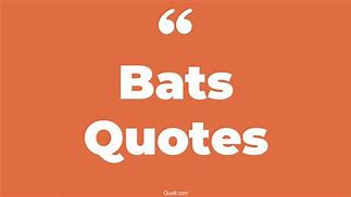 Image result for Funny Bat Sayings