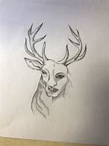 Image result for Black Deer Drawing