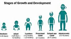 Image result for Child Growth and Development Stages