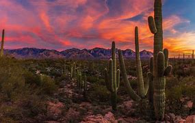Image result for Arizona Desert Sunset Wallpaper