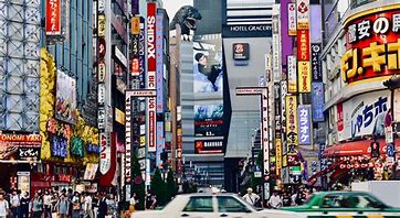 Image result for Popular Tokyo Attractions