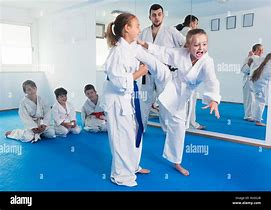 Image result for Girls Karate Fight