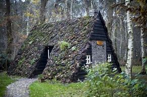 Image result for Cozy Cabin