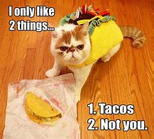 Image result for Funny Taco