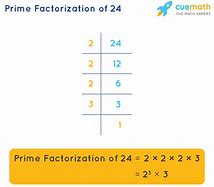 Image result for Prime Factors of 24