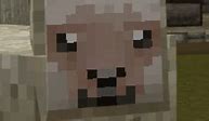 Image result for Mcpe Profile Pictures