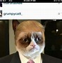 Image result for White Grumpy Cat Meme