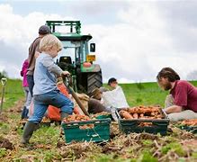 Image result for Community Supported Agriculture Members Area
