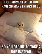 Image result for Meme to Do List Take a Nap