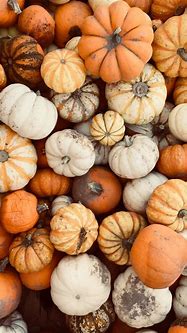 Image result for Fall Pumpkin iPhone Wallpaper