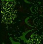 Image result for Green Vector Background