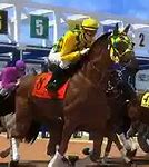 Image result for Horse Racing Picks
