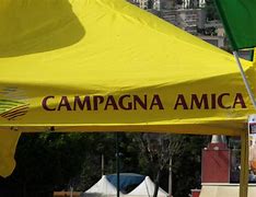 Image result for Amica 50C