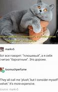 Image result for russian memes animal