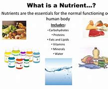 Image result for Nutrients Definition