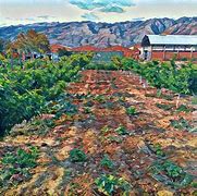 Image result for Ecological Agriculture