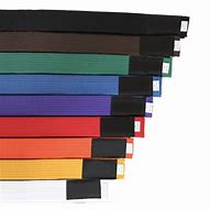 Image result for Types of Karate Belts