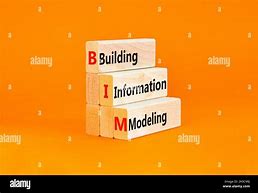 Image result for Bim Cartoon