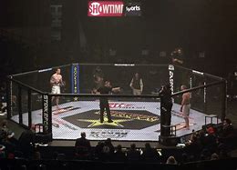 Image result for MMA Cage Fighting