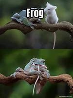 Image result for Blue Frog Meme