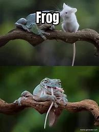 Image result for Funny Frog Jumping Meme
