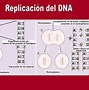 Image result for desoxirribonucleico