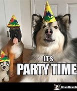 Image result for Party Animal Funny Meme