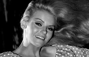Image result for Sharon Farrell Makeup