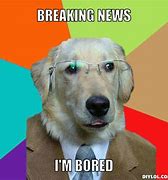 Image result for Office Dog with Phone