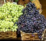Image result for Grapes Vine in Misamis Occidental