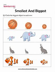 Image result for Small Smaller Smallest Flashcard