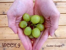 Image result for Baby Size of a Grape
