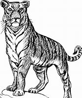 Image result for How to Draw a Tiger Girl