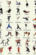Image result for One Piece Martial Arts Styles