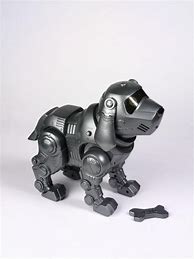 Image result for Robo Dog Real Life