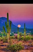Image result for Phoenix Arizona Nature